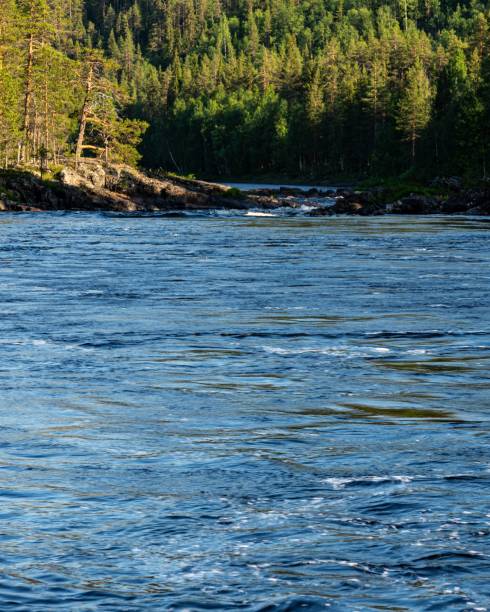 istock Beautiful view of a river flowing in green dense forest, Vertical shot 1446848260