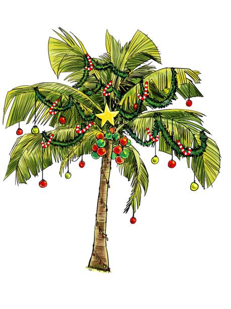 Tropical Christmas Tree Digital illustration of a coconut tree at a tropical country being dressed up as a Christmas tree palm tree christmas lights stock illustrations