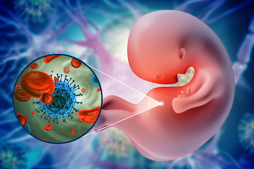 Fetus infectious disease and maternal infection on medical background. 3d illustration