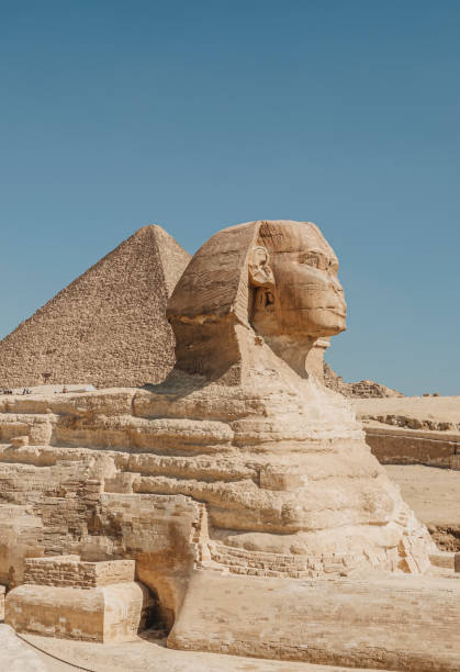 portrait du sphinx egypte. portrait du grand sphinx d’egypte proche. égypte, gizeh. beaucoup de pigeons sur la tête du sphinx. gros plan de la tête du sphinx - great pyramid photos et images de collection