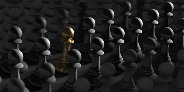 istock Chess pawn piece outstanding. Leadership concept 1446863395