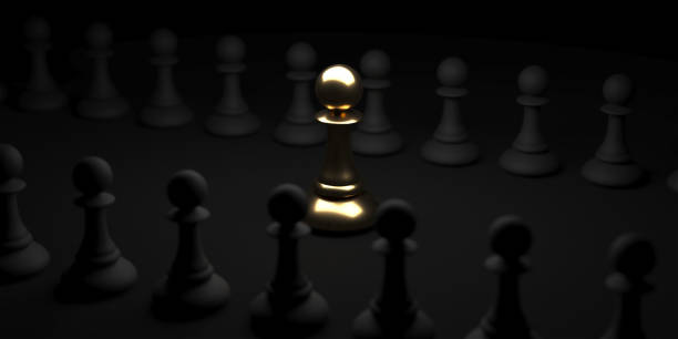 istock Chess pawn piece outstanding. Leadership concept 1446863454