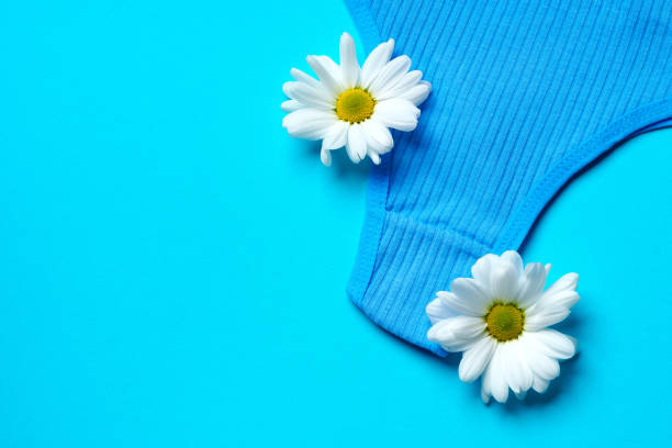 istock Women's panties with flower buds on paper background 1446870752