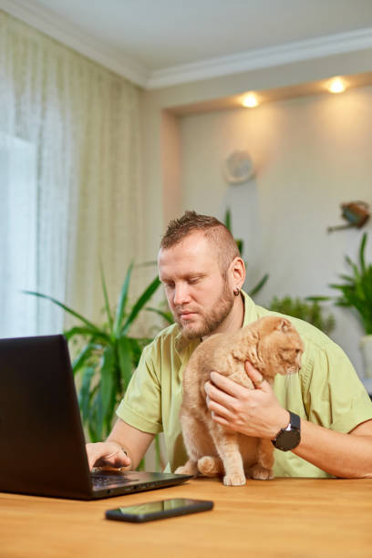 istock Man is working on a black notebook, laptop and cat is laying in his hand 1446871933