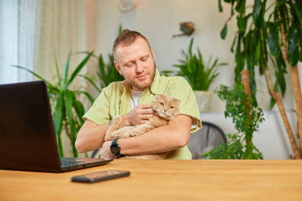 istock Man is working on a black notebook, laptop and cat is laying in his hand 1446871938