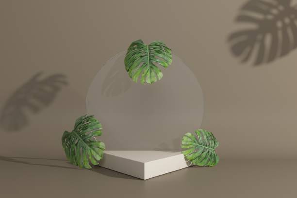 istock Empty podium. Modern minimal showcase scene for product presentation 1446872477