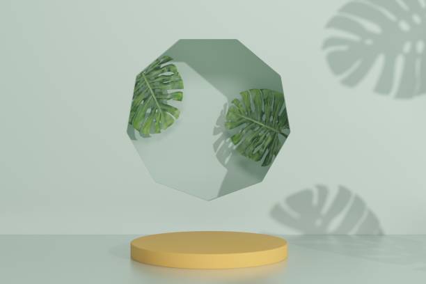 istock Empty podium. Modern minimal showcase scene for product presentation 1446872631