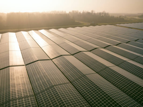 istock Aerial view on a solar farm producing clean renewable electricity energy 1446873355