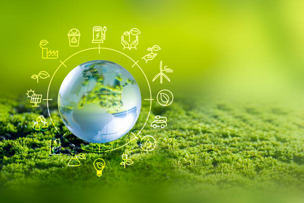 istock 3D illustration Renewable energy concept Earth Day or environmental protection Protect the forests that grow on the ground and help save the planet. 1446873411
