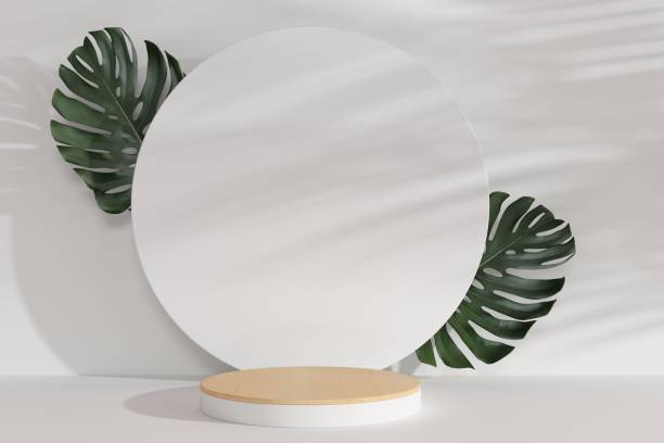 istock Empty podium. Modern minimal showcase scene for product presentation 1446873782