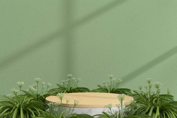 istock Empty podium. Modern minimal showcase scene for product presentation 1446874015