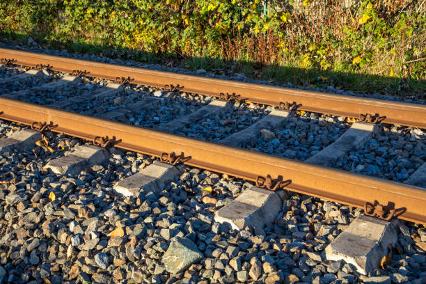 istock rusty rails in detail in sunset color 1446874168