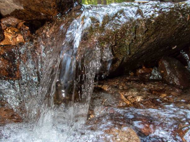 istock Clean water flows over a stone in an idyllic flowing stream 1446874284