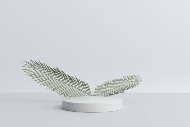 istock Empty podium. Modern minimal showcase scene for product presentation 1446875138