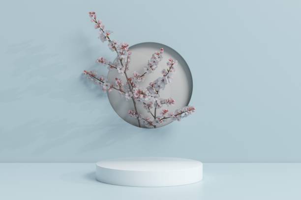 istock Empty podium. Modern minimal showcase scene for product presentation 1446875417