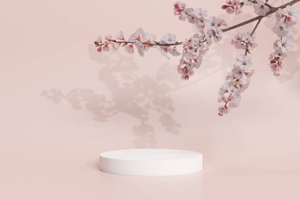 istock Empty podium. Modern minimal showcase scene for product presentation 1446875421