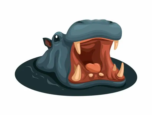 Vector illustration of Hippo open mouth while soaking in the swamp. wild animal character illustration vector