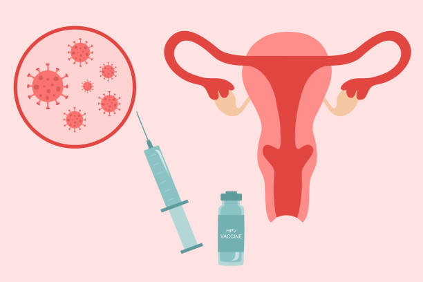 Cervical Cancer And Human Papilloma Virus Concept With Uterus, Virus Cells, Syringe And Vaccine Vial. HPV Vaccination For Virus Infection Risk vector art illustration