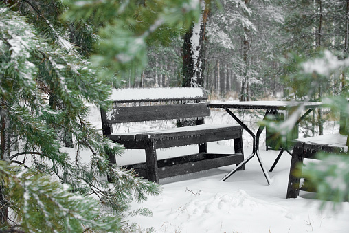 The snow and ice covered benches and a table in the winter park. Coniferous trees grow around. Winter atmosphere concept.
