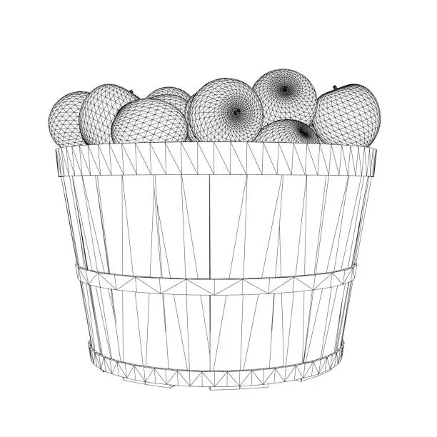 Vector illustration of Wireframe of a bunch of apples in a bucket made of black lines isolated on a white background. Side view. 3D. Vector illustration.