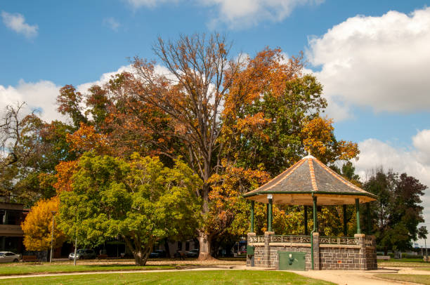 istock Autumn colours in trees behind rotunda 1446880790