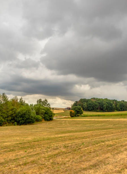 istock Stormy farmland scenery 1446881165