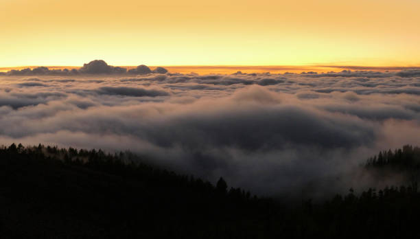 istock Teide National Park at Tenerife 1446882373