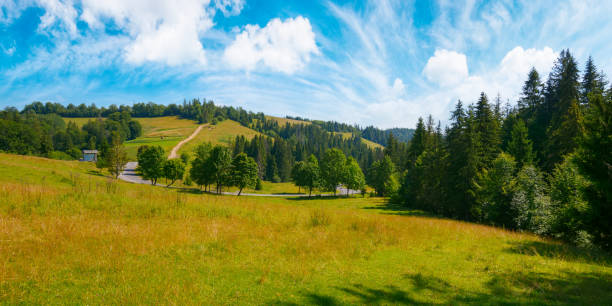 istock trees on the hill by the road 1446882924