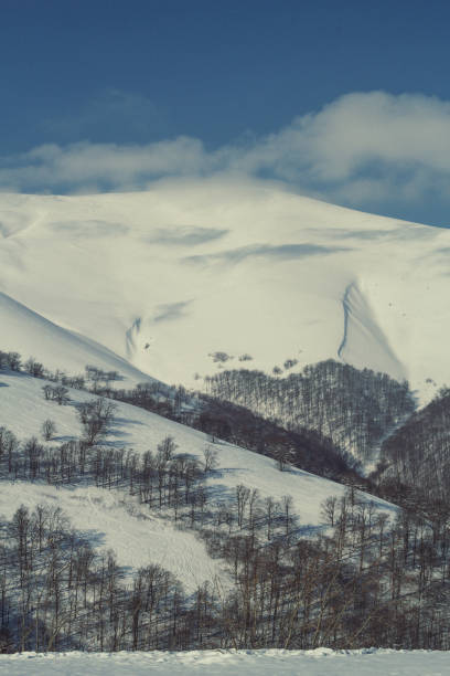 istock Snow covered mountain landscape photo 1446886877