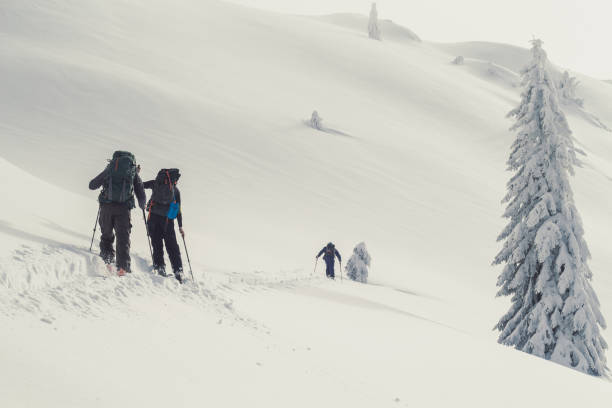 istock Tourists moving forward on skis landscape photo 1446886938