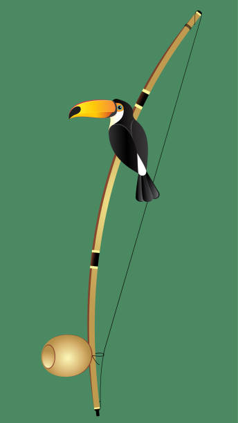 Berimbau and toucan vector art illustration