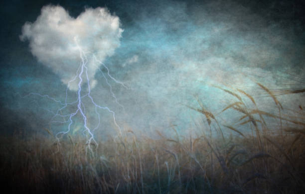 istock Heart cloud over field grunge textured 1446893328