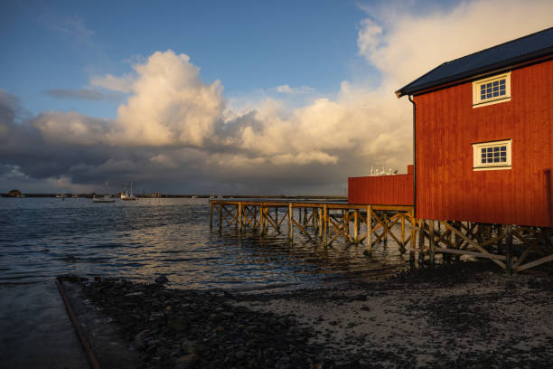 istock Small harbor village in Northern Norway 1446893362