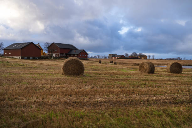 Amish Farm with Hay Stacks and a barn roof  and silo.