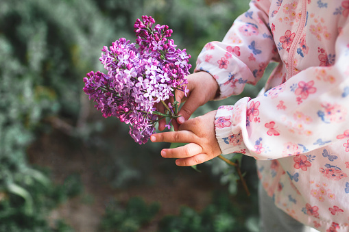 Little girl holding lilac flowers in her hands, present for mommy for Mothers day