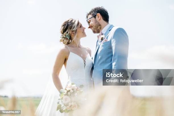 Romantic Outdoor Shooting With Bride And Groom In A Field In Summer Stock Photo - Download Image Now