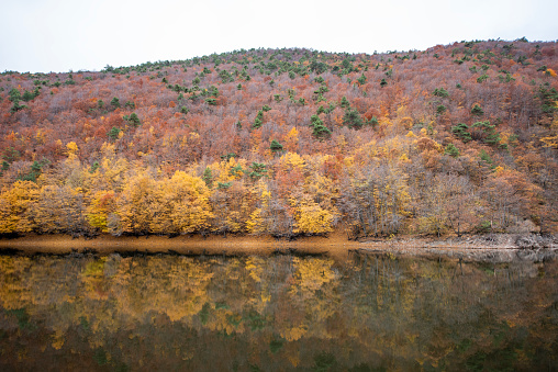 Beautiful autumn colors of Forest House  and lake reflection in Boraboy Lake