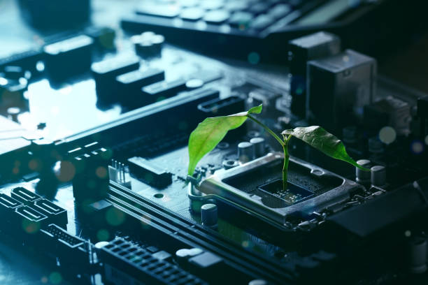 istock Trees are growing on circuit board technology innovations. Digital Convergence and Technology Convergence.Green Computing, Green Technology, Green IT, CSR, and IT ethics Concept. 1446897887