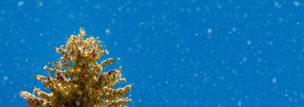 istock The top of a Christmas tree against blue background 1446898224