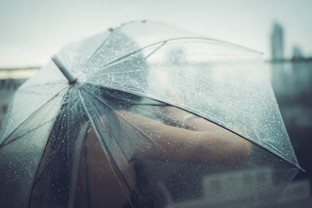 istock Girl hold umbrella behind cityscape 1446899266