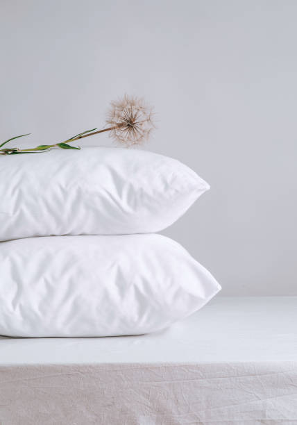 zwei bequeme kissen mit löwenzahn. konzept von leichtigkeit und weichheit, wohnkomfort, kopierraum. guten morgen bei tageslicht - bedding bedroom duvet pillow stock-fotos und bilder