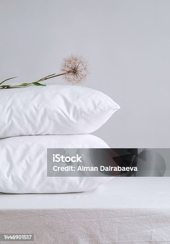 istock two comfortable pillows with dandelion. Concept of lightness and softness, home comfort, copy space. Good morning in daylight 1446901517