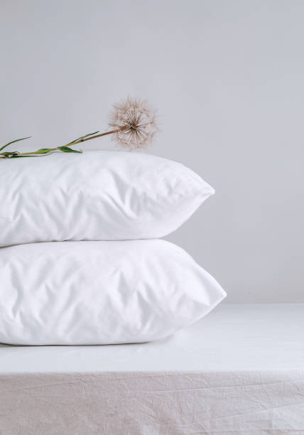 two comfortable pillows with dandelion. Concept of lightness and softness, home comfort, copy space. Good morning in daylight stock photo