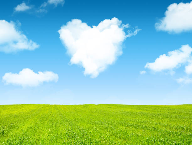 istock Green grass and cloud heart on blue sky 1446903957