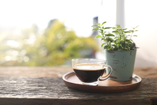 coffee in a glass cup and plant pot on wooden tray