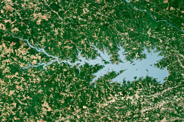 istock Lake Murray 3D Render Satellite Image Aerial Top View 1446905650