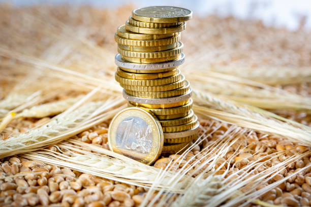 Concept of rising costs for wheat stock photo