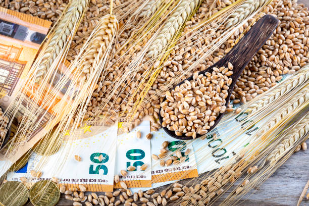 istock Concept of rising costs for wheat 1446909650