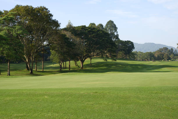 istock The beauty of the golf course has mountains behind it. 1446914033