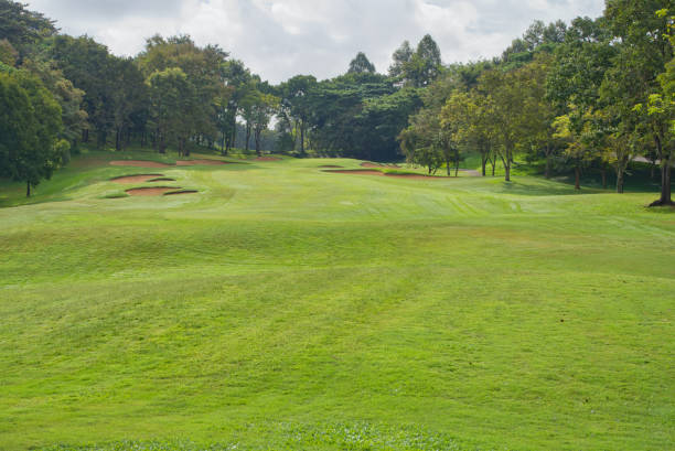istock Beautiful view of the golf course. 1446914045